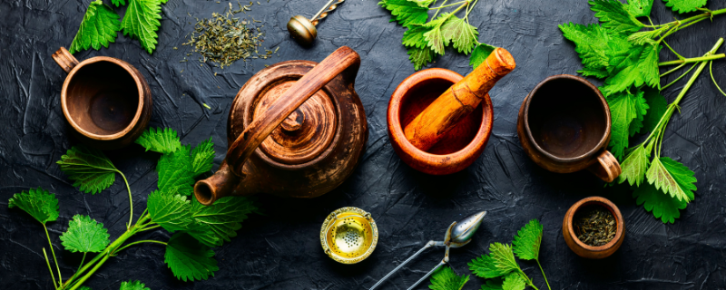 écoles naturopathie reconnues