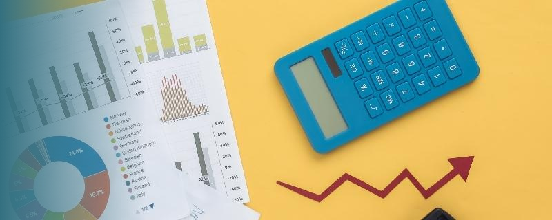 Business analyst