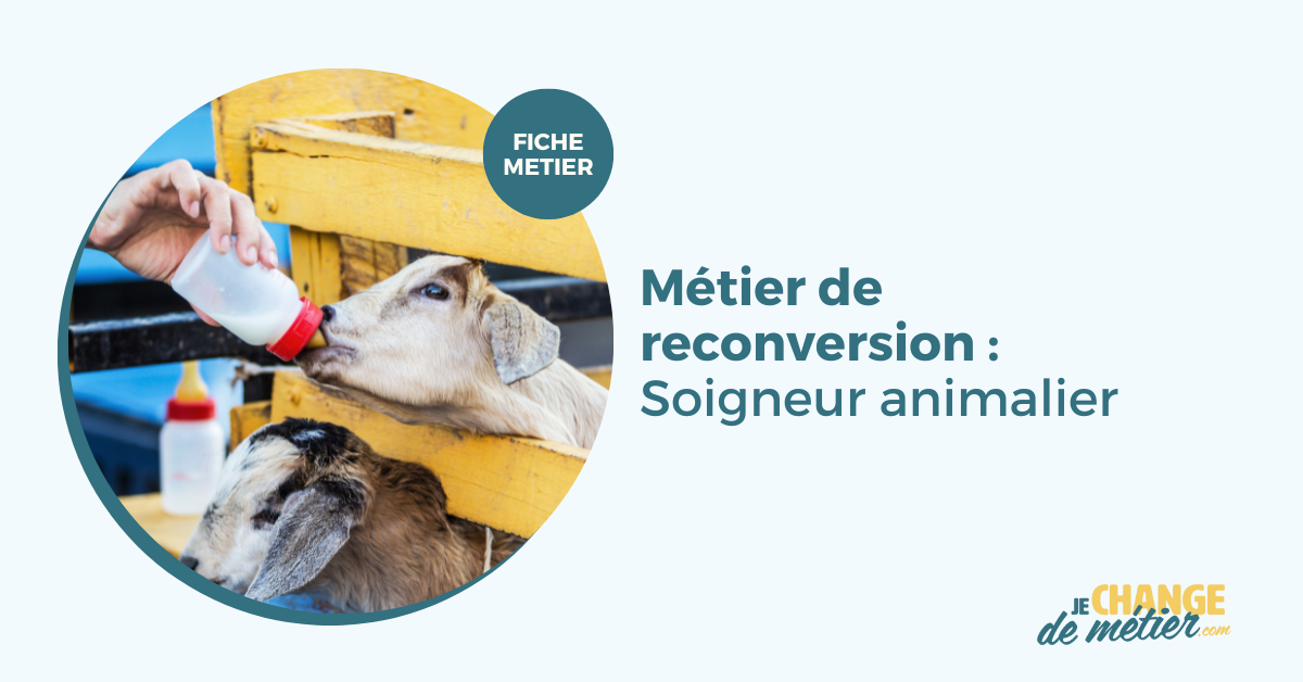 Devenir soigneur animalier un métier accessible sans diplôme