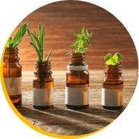 Formation à un métier du développement personnel : formation en naturopathie