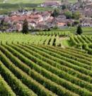 Bilan de compétences Bourgogne Franche Comté