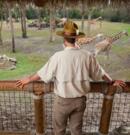 Formations pour travailler dans un zoo