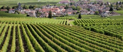 Bilan de compétences Bourgogne Franche Comté