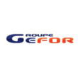 logo GROUPE GEFOR