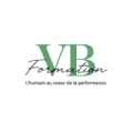 logo VB FORMATION