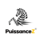 logo PuissanceZ