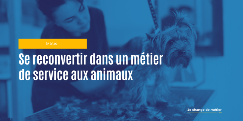 Se reconvertir dans un métier de service aux animaux