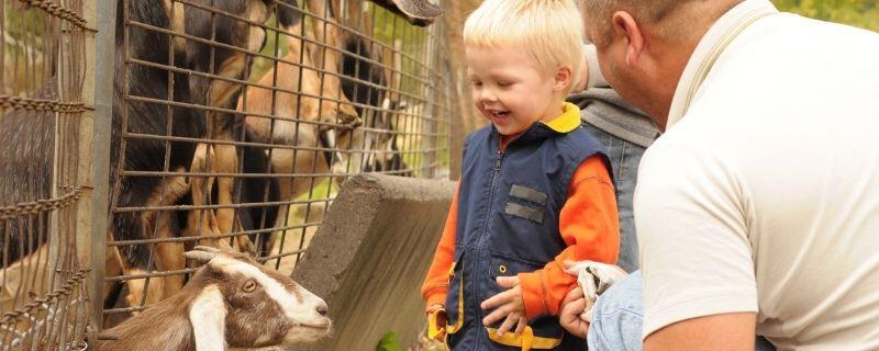 Animateur pédagogique | Fiche métier