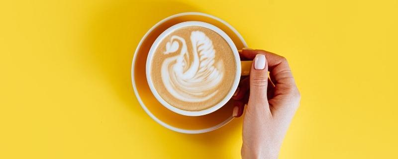 Barista | Fiche métier
