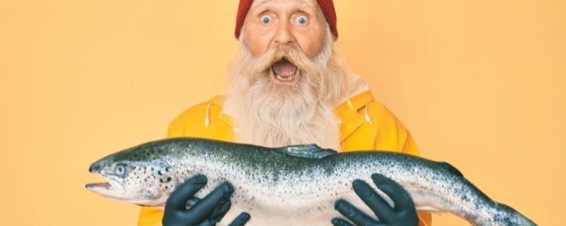 Marin pêcheur | Fiche métier