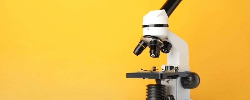 Les métiers de la biologie, physique et chimie
