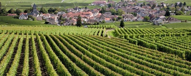 Votre bilan de compétences 100% financé en Bourgogne Franche Comté