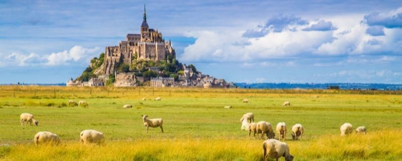 Bilan de compétences Normandie : trouver un centre