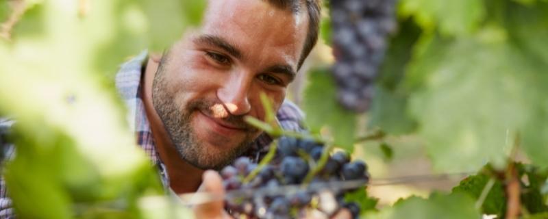 Métiers du vin | Reconversion