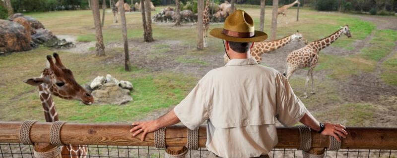 Les formations pour travailler dans un parc animalier