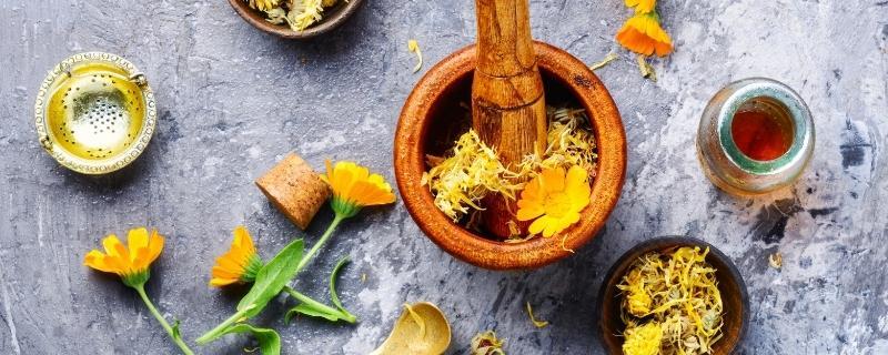 Liste des écoles de naturopathie et formations naturopathie reconnues