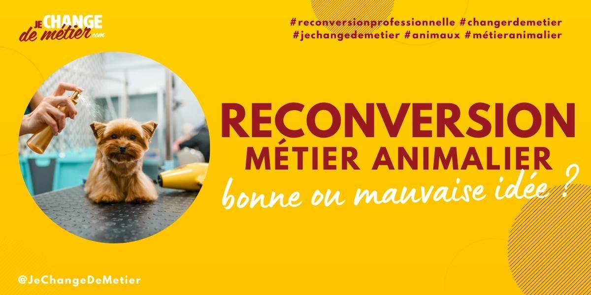 Pourquoi se reconvertir dans un métier avec les animaux