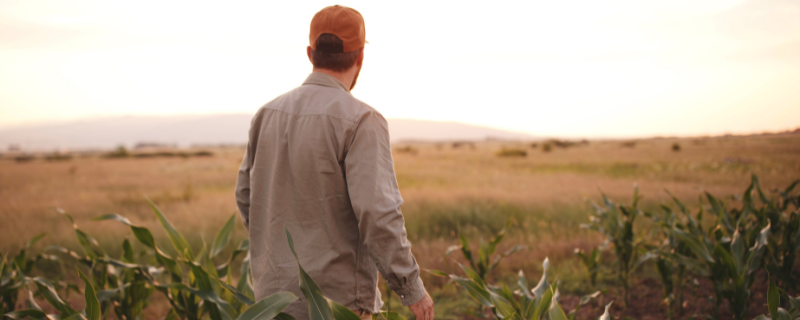Formations pour devenir agriculteur