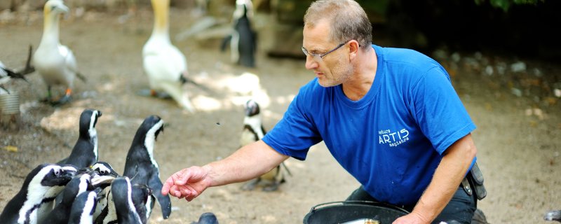 Quelles sont les formations et écoles pour devenir soigneur animalier en France ?