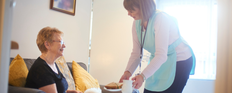 Titre Professionnel Assistant de vie aux familles