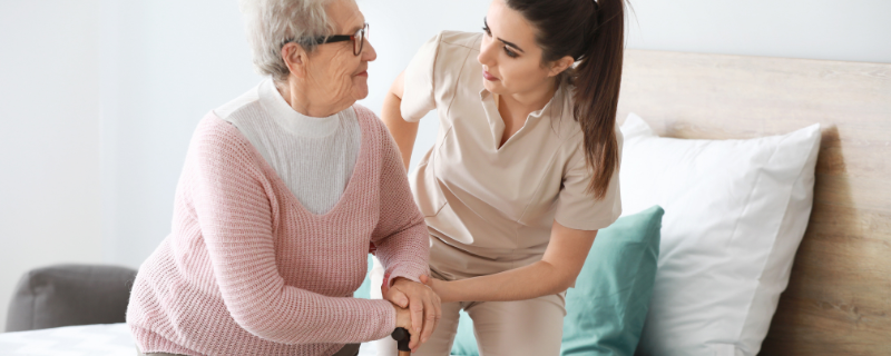 Titre Professionnel Assistant de vie aux familles