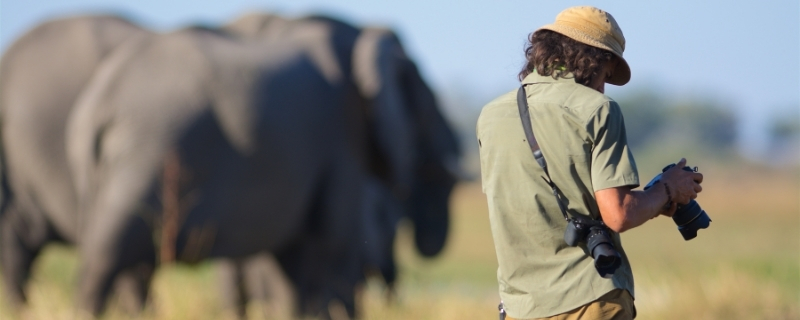 devenir Photographe animalier