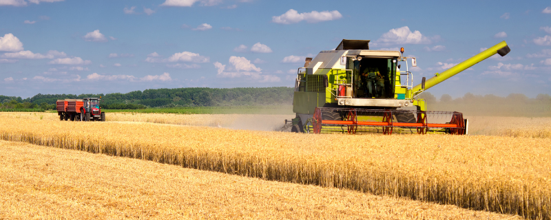 Débouchés après un BTSA ACSE (Analyse, conduite et stratégie de l’entreprise agricole)
