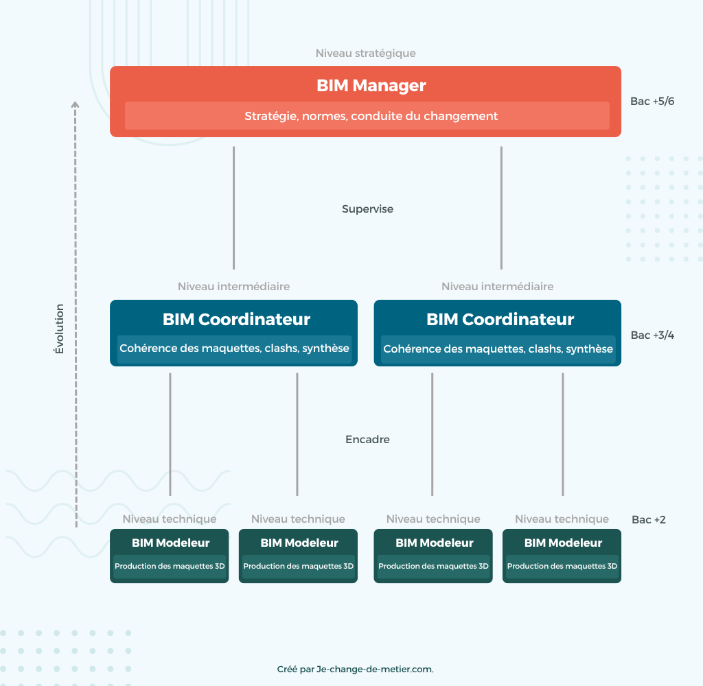 Hiérarchie métiers du BIM