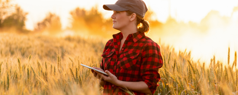 pourquoi travailler dans l
