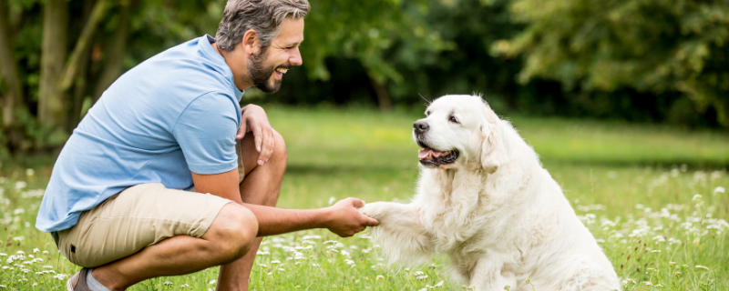 Salaire : combien gagne un éducateur canin en 2025 ?