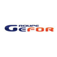 GROUPE GEFOR logo