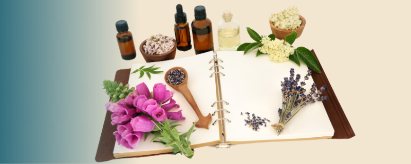 Avantages et inconvénients du métier de naturopathe pour une reconversion
