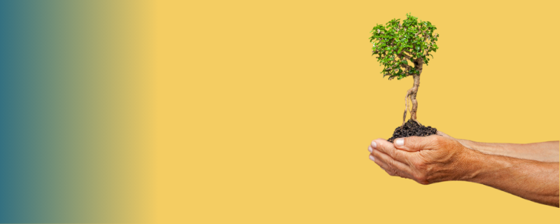 Que faire après un BTSA Gestion et protection de la nature  ?