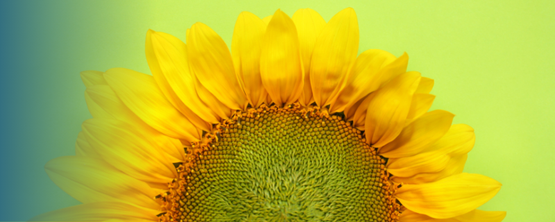 5 astuces pour choisir sa formation agricole