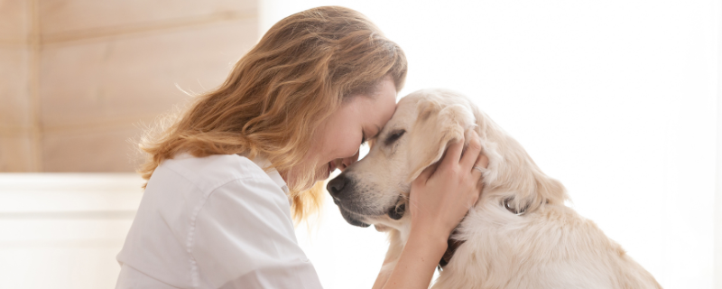 Comment devenir pet sitter à domicile ?