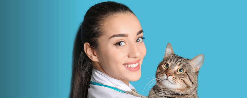 Quelles sont les différences entre auxiliaire vétérinaire, ASA, AVQ et ASV ?