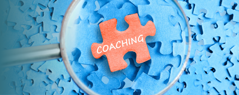 Enquête sur les coachs : profil, reconversion, formations, salaires