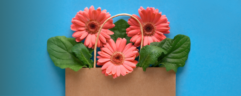 Ouvrir sa boutique de fleurs en 6 étapes