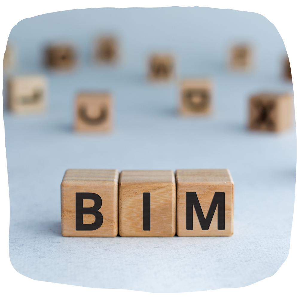 Bim manager