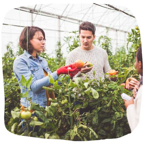 Conseiller agricole | Fiche métier