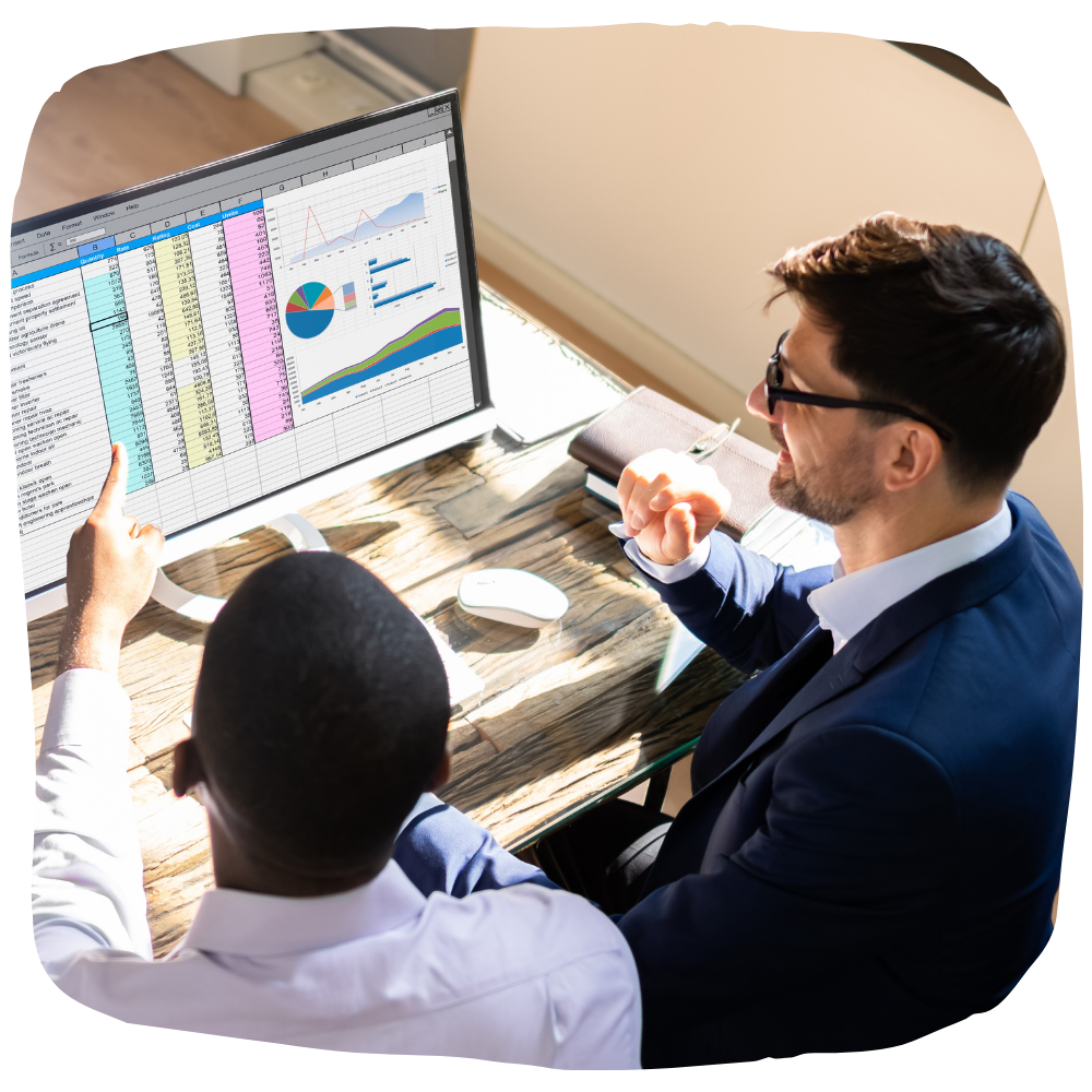 Data Analyst