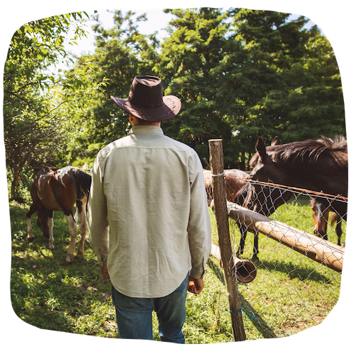 Eleveur de chevaux