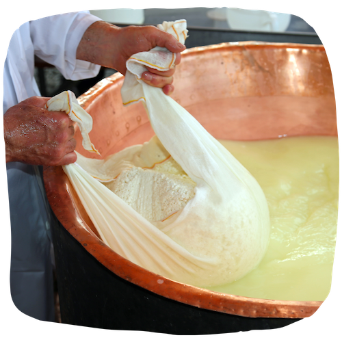 Crémier-Fromager | Fiche métier