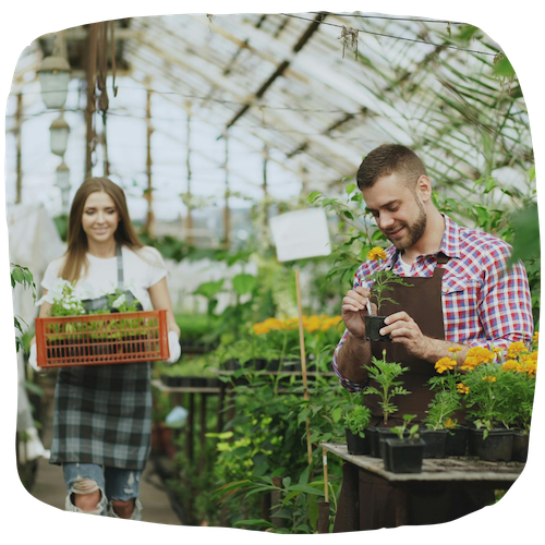 Horticulteur | Fiche métier détaillée