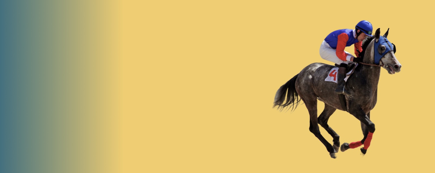 Jockey | Fiche métier