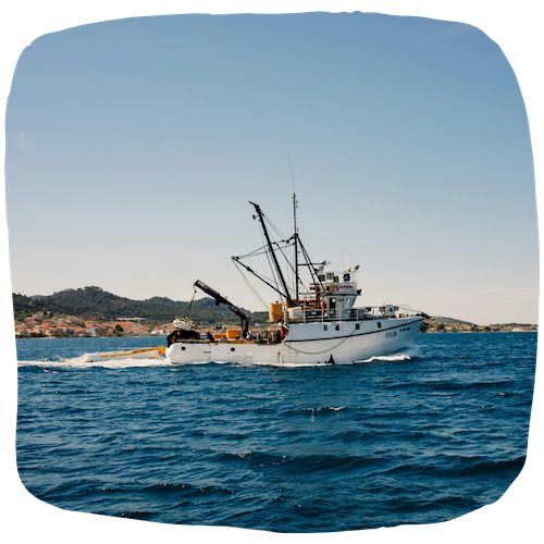 Marin pêcheur