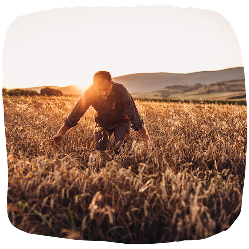 Ouvrier agricole