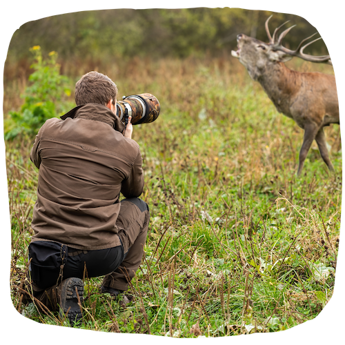 Photographe animalier