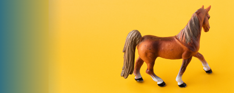 Quel métier pour travailler avec les chevaux ?