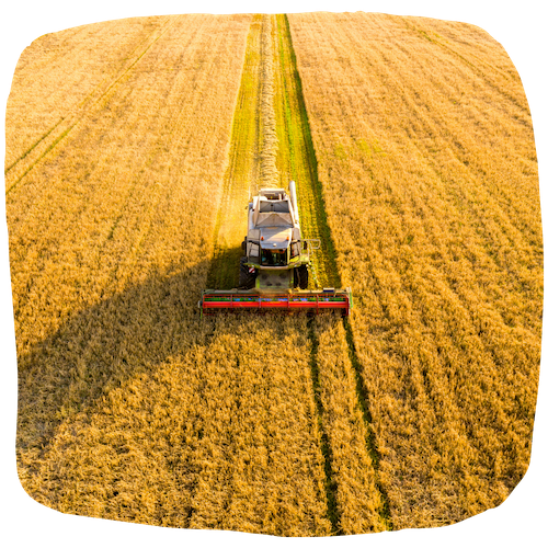 Métiers de l'agriculture